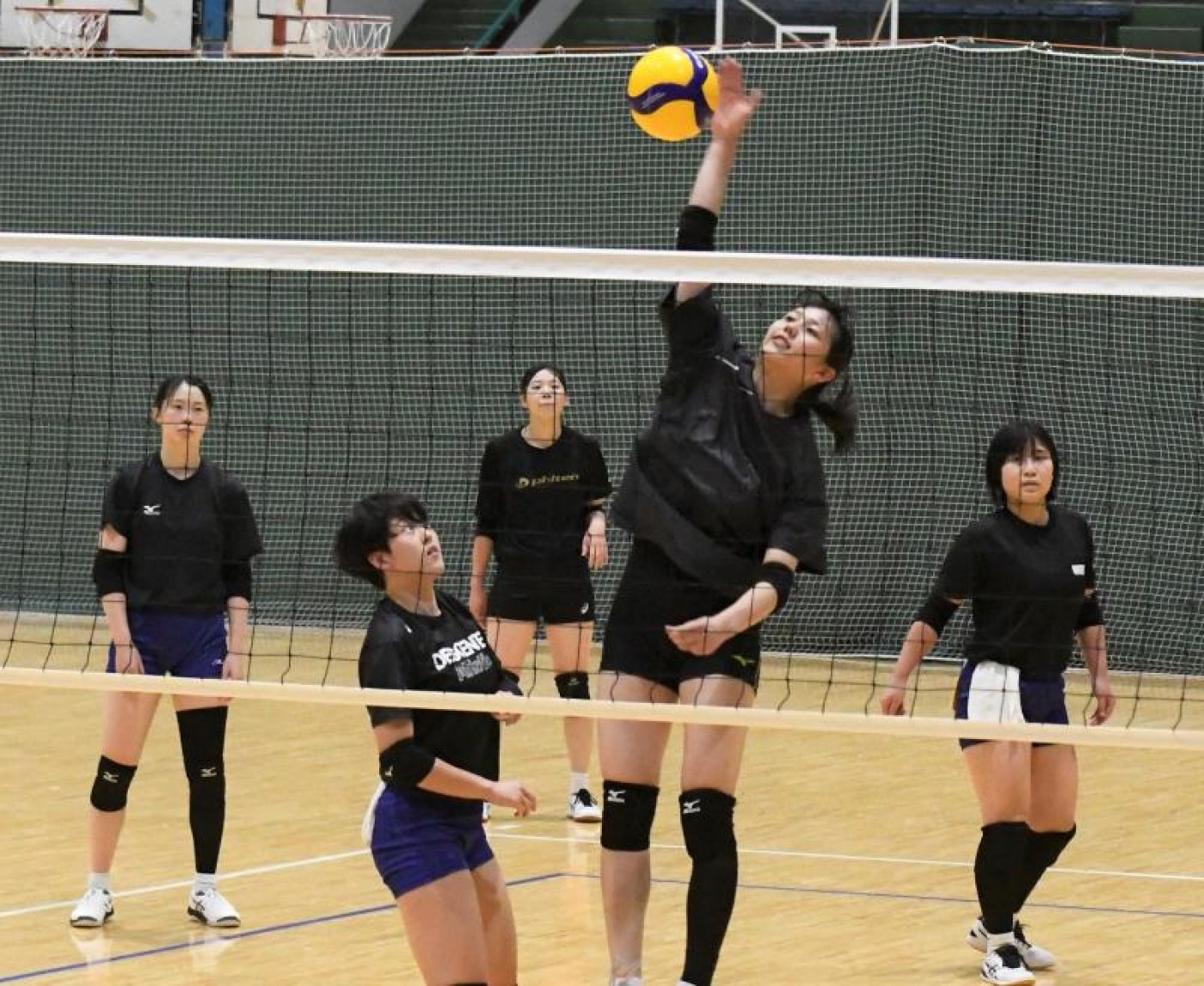 女子バレー部】6年ぶりの大学日本一狙う : 東海大学新聞WEB版