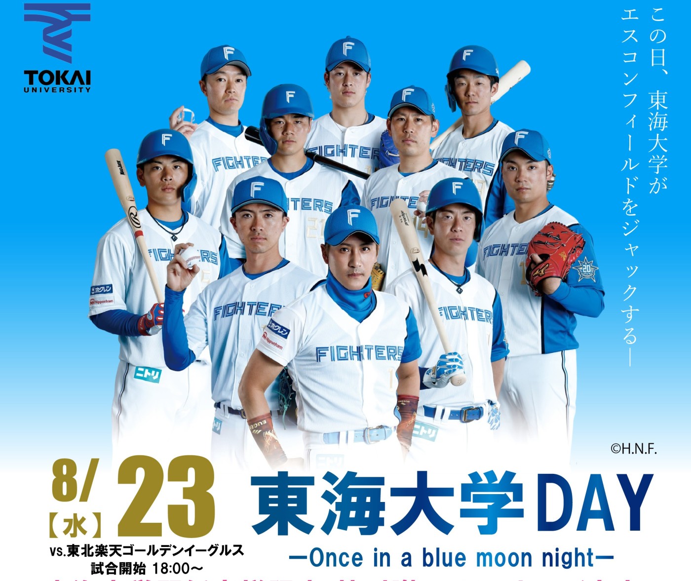 東海大学 野球部 グラコン